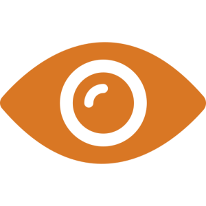 vision